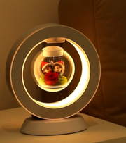 Heart LED Night Light Magnetic Levitation Creatives Lamp Desk