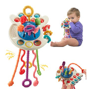 Silicone Baby Activity Motor Skills